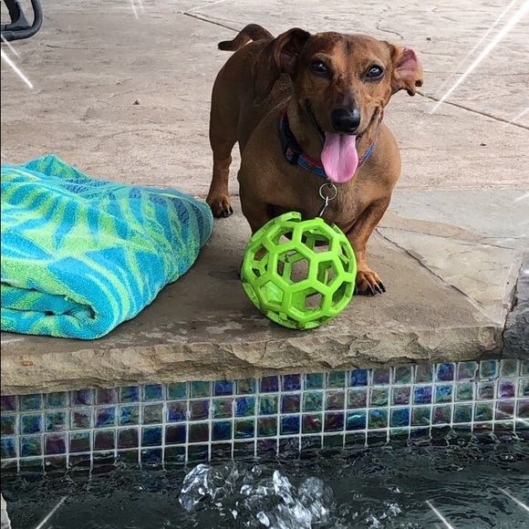 🌸POSH AMBASSADOR, JILL🌸 - Picture 3 of 7